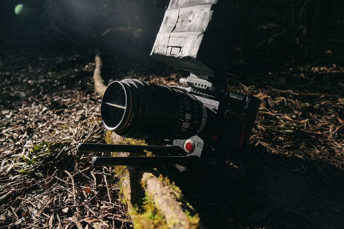 black trail camera near tree